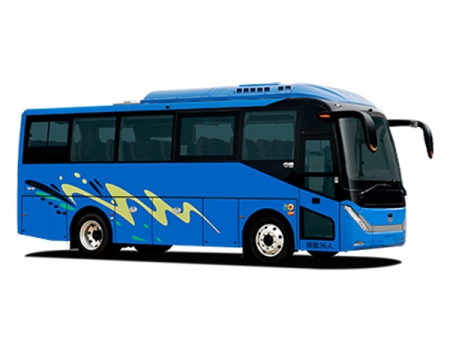 Autobús turístico 6829H (Spring)