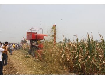 Cosechadora de forraje tirada por tractor 4QZ-1800