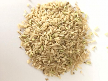 Separador por gravedad de arroz con cáscara, seleccionador de granos SLJ-MGCZ2