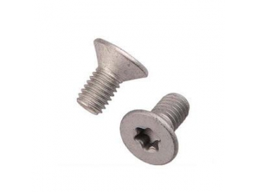 Tornillo Torx