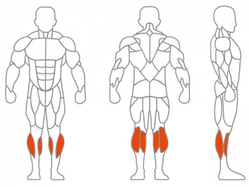 Máquina para ejercitar pantorrillas   LDGL-7097