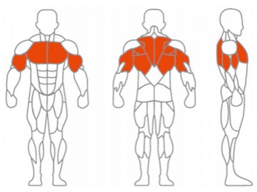 Máquina de musculación Assist Dip/Chin