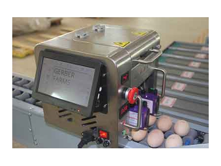 Clasificadora de huevos 101A (4000 huevos/hora)