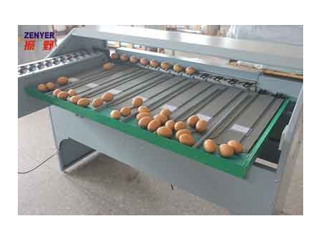Clasificadora de huevos 101A (4000 huevos/hora)