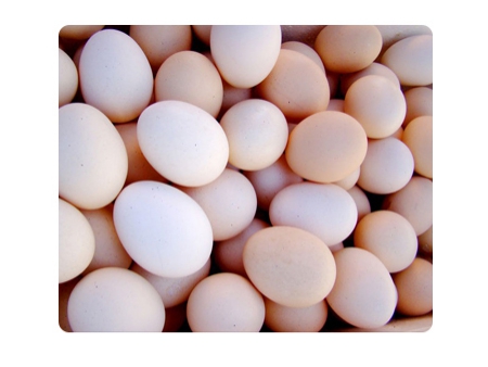 Lavadora de Huevos 203A (20000 huevos/hora)