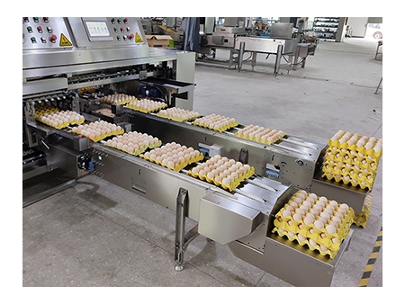 Máquina Empacadora de Huevos 714 (55,000 huevos/hora)