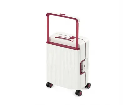 Maleta para facturar de 24