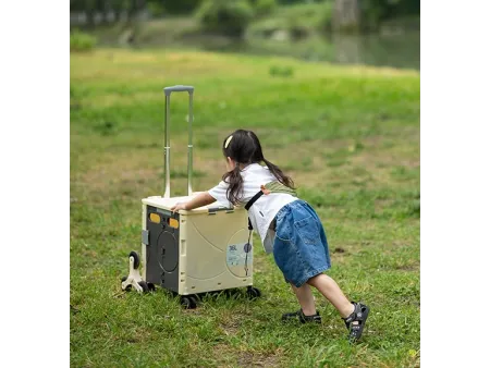 Carrito plegable con caja