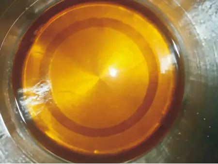 Filtro de Aceite al Vacio