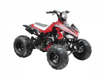 Cuatrimoto ATA125-G 125cc