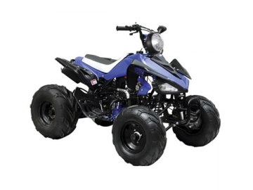 Cuatrimoto ATA125-G 125cc