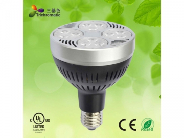 Foco LED PAR de 26W