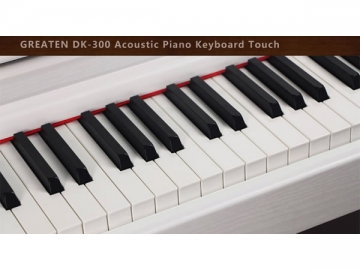 Piano digital DK-300 con reproductor de MP3