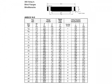 Brida ciega ANSI B16.5