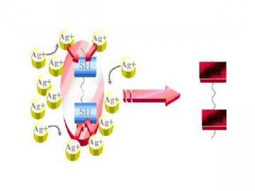 Tubería PPR <br /> <small>(Tubería de plástico antibacterial)</small>