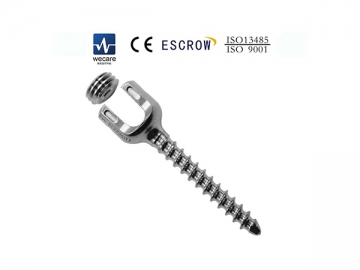 Sistema de fijación vertebral Torx KSS-I6.0