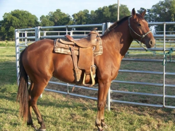 Valla para caballos